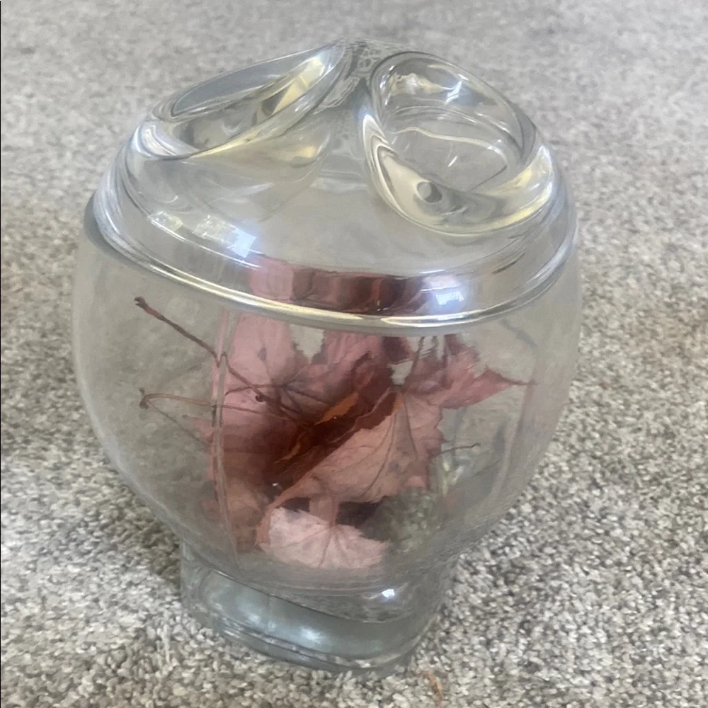 Thick Glass Skull Cookie Jar Canister with lid - Clear